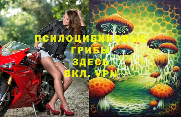 прущие крисы Аркадак