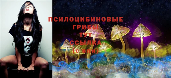 прущие крисы Аркадак