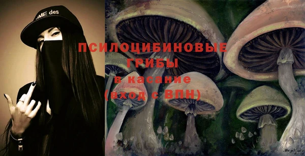 марки nbome Белая Холуница