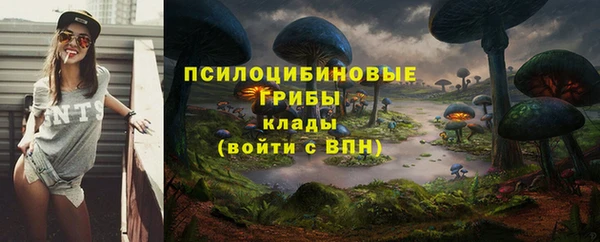 мдма Рославль