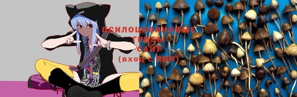МДМА Арсеньев