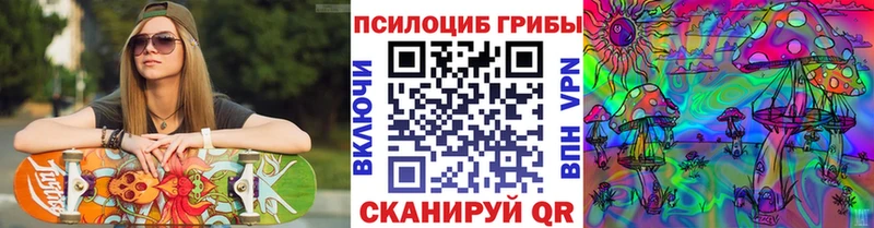 Псилоцибиновые грибы мицелий  blacksprut зеркало  Дедовск 